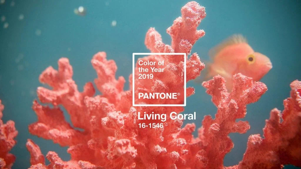 Living coral 2019 color of the Year