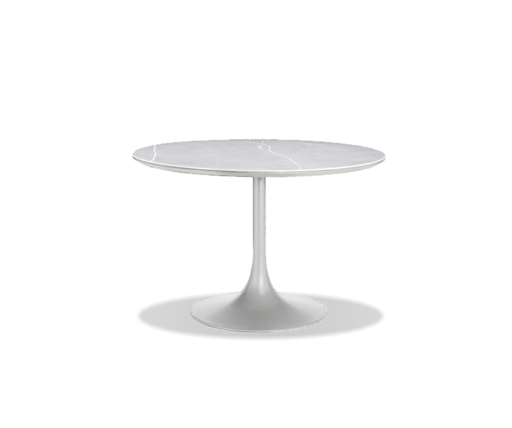 
          no blank-products/Basia-Dining-table-83783-Silo-1.png