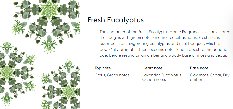 Fragrance Lampe Refill - Eucalyptus - 500ml