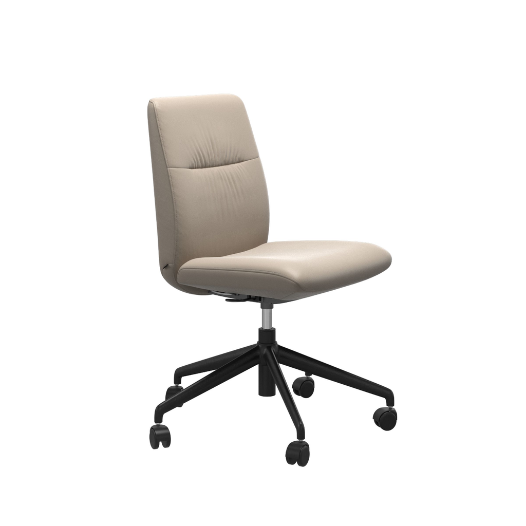 Mint Low Back Office Chair - Large