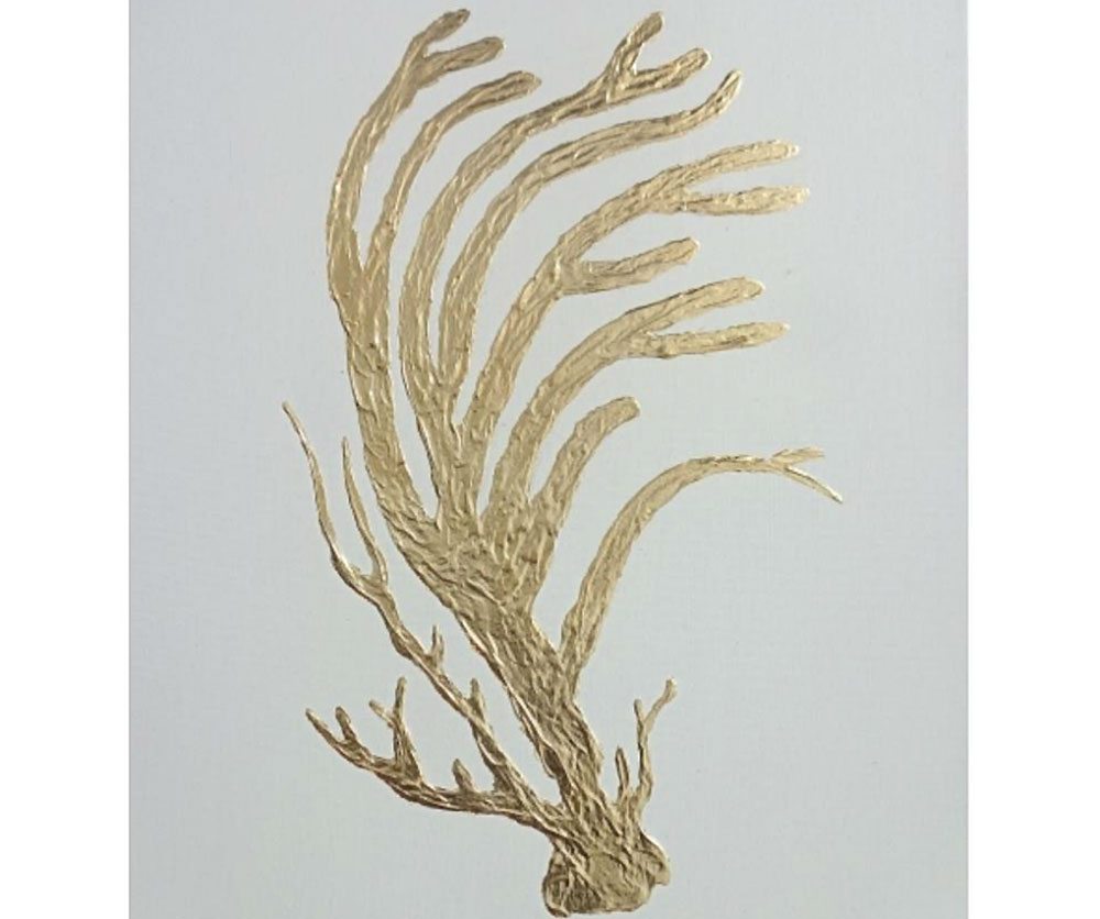 Golden Coral - Artwork