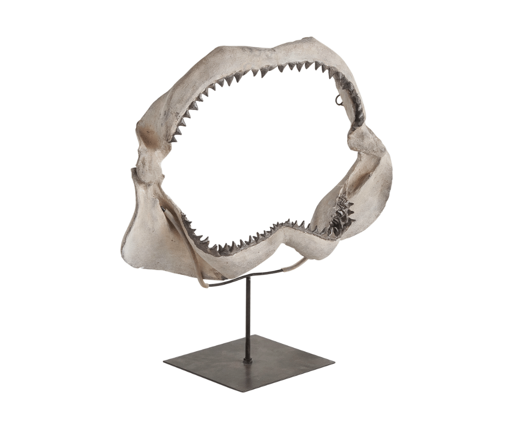 
          no blank-products/JAW-SCULPTURE-66845-Silo.png