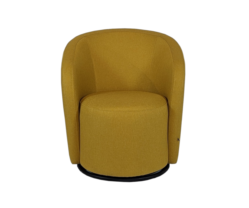 Javi Accent Chair