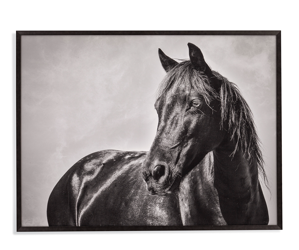 
          no blank-products/Stallion-Artwork-78510-Silo.png